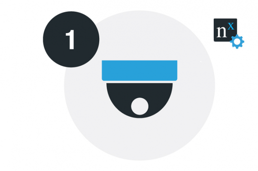 Lisens | NX Witness - Pro Recording License